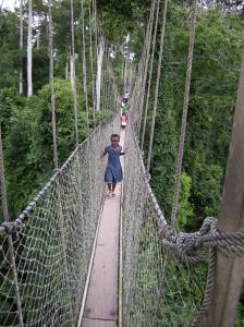 Aerial walkway through the rainforest at Kakum National Park in Ghana. Photo by Barbara Borst