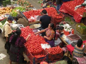 The market at Chichicastenango, a largely Maya town in the highlands of Guatemala. Photos by Barbara Borst
